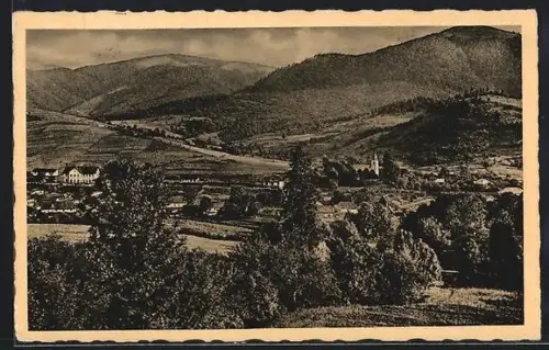 AK Volovec, Blick auf den Ort in den Karpathen
