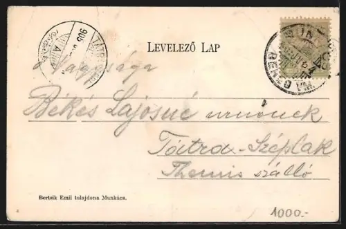 AK Munkács, Városháza