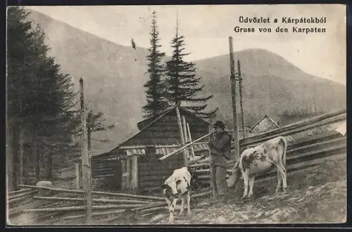 AK Czarnohora /Kárpátok, Bauer mit Kühen vor Holzhaus