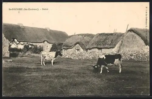AK St-Nazaire, Belair, Kühe auf der Weide bei einem Gehöft