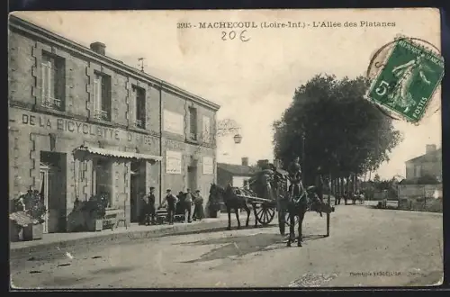 AK Machecoul /Loire-Inf., L`Allée des Platanes avec passage de charrettes et bâtiment commercial