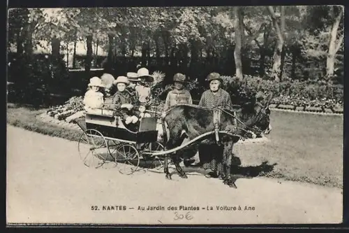 AK Nantes, Au Jardin des Plantes, La Voiture à Âne