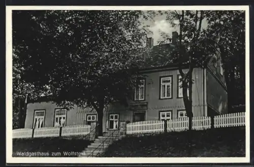 AK Bad Harzburg, Cafe-Restaurant zum Wolfstein