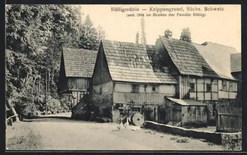 AK Kleingiesshübel, Strassenpartie an der Rölligmühle - Kippengrund