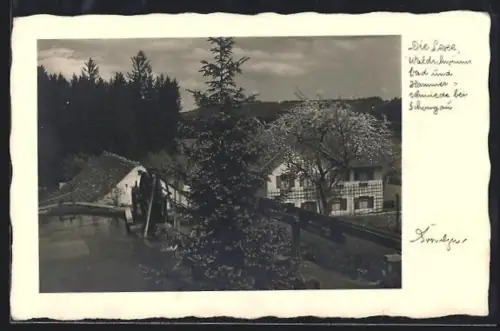 AK Schongau, Die Lexe, Waldschimmbad und Hammerschmiede