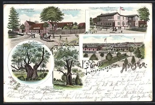 Lithographie Munster, Truppenübungsplatz, Gasthaus Lüneburger Hof, Barackenlager, Adam Eiche ungefärh 1000 Jahre alt