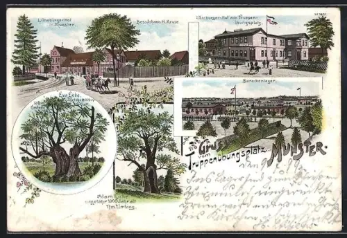 Lithographie Munster, Truppenübungsplatz, Gasthaus Lüneburger Hof, Barackenlager, Adam Eiche ungefärh 1000 Jahre alt