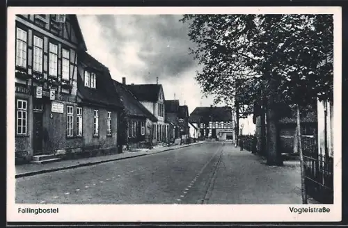 AK Fallingbostel, Vogteistrasse mit Geschäften