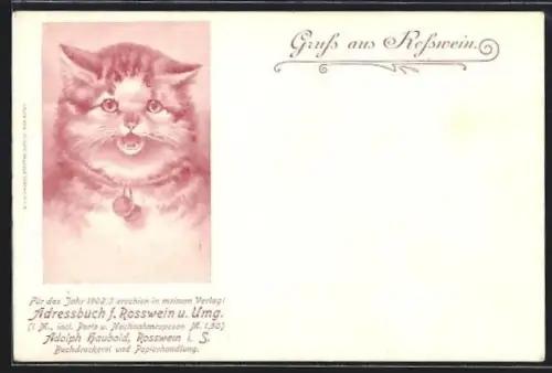 Künstler-AK Rosswein, Getigerte Katze mit Glocke