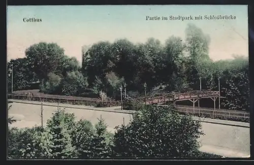 AK Cottbus, Stadtpark mit Schlossbrücke