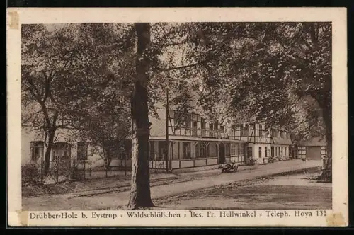 AK Drübber-Holz b. Eystrup, Gasthaus Waldschlösschen Fr. Hellwinkel