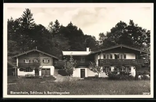 AK Schönau b. Berchtesgaden, Gasthaus Bienenheim