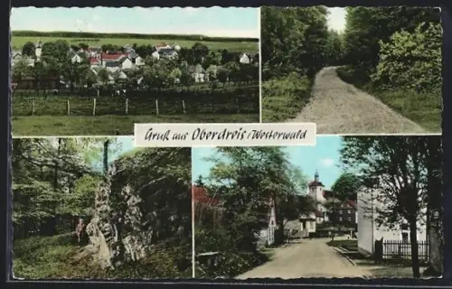 AK Oberdreis & Westerwald, Strassenpartien, Waldpartie, Ortsansicht