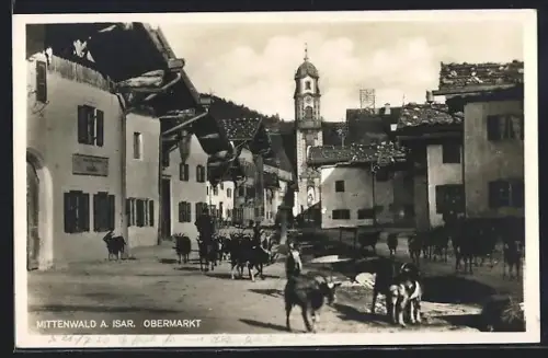 AK Mittenwald /Isar, Obermarkt mit Ziegen