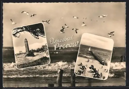 AK Prerow, Ostseebad, Leuchtturm, Landungssteg, Möwen am Meer