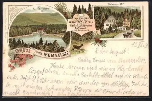 Lithographie Seebach, Mummelsee, Gasthof u. Pension Wolfsbrunnen