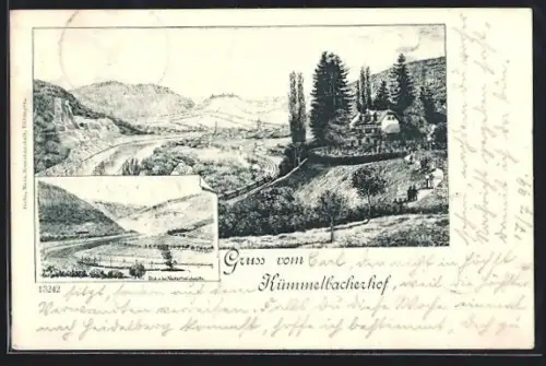Lithographie Neckargemünd, Hotel Kümmelbacherhof, Ortspartie