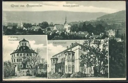 AK Oppenweiler, Hotel Katharinenhof, Schloss Sturmfeder, Gesamtansicht