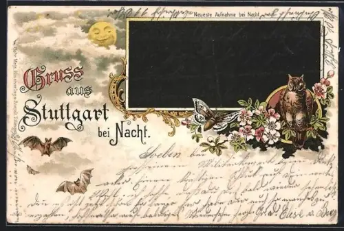 Lithographie Ulm / Donau, Ansicht bei Nacht, Mond, Eule und Schmetterling