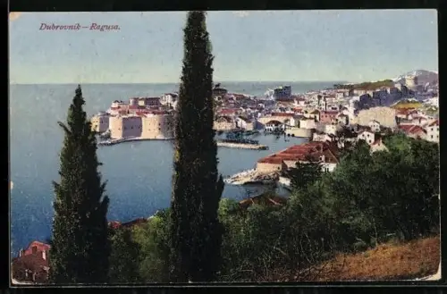AK Dubrovnik, Panorama mit Zypressen