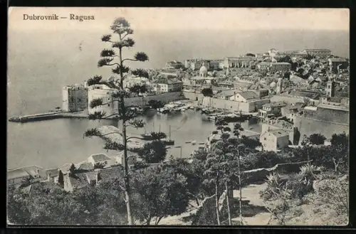 AK Dubrovnik, Ortsansicht mit Hafen