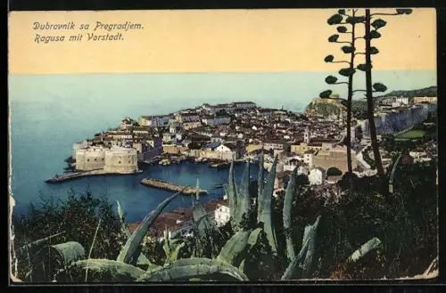 AK Dubrovnik, Panorama sa Pregradjem