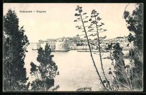 AK Dubrovnik, Panorama