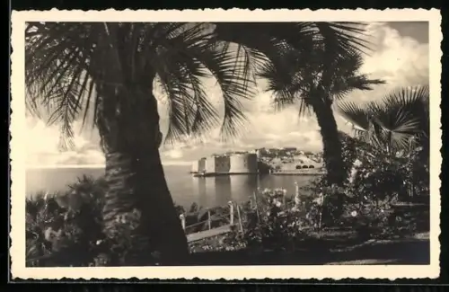 AK Dubrovnik, Panorama