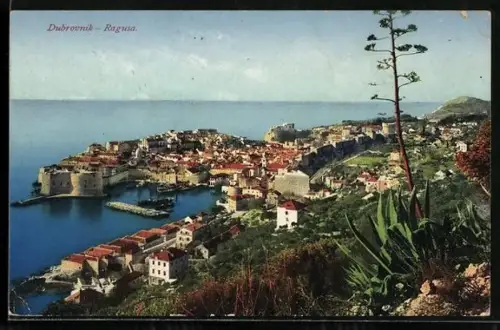 AK Dubrovnik, Gesamtansicht