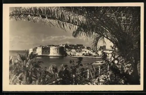 AK Dubrovnik, Küstenpartie mit Wohnhäusern