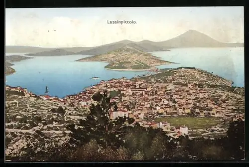 AK Lussinpiccolo, Panorama