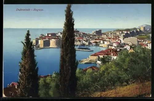 AK Dubrovnik, Panorama