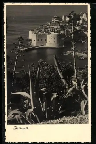 AK Dubrovnik, Panorama