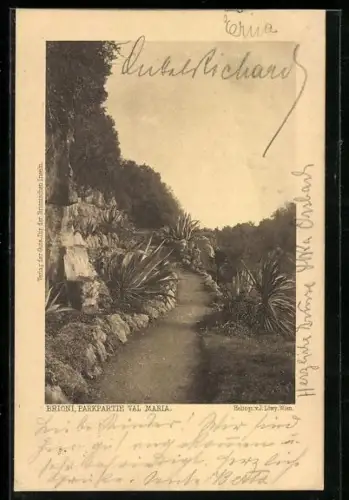 AK Brioni, parkpartie Val Maria