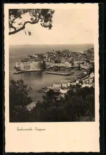 AK Dubrovnik, Panorama