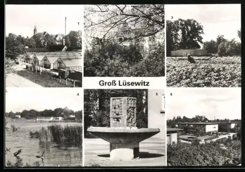 AK Gross Lüsewitz, Institut für Kartoffelforschung, Gewächshausanlage, Aussenansicht, Kartoffelbrunnen