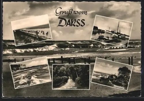 AK Prerow /Darss, Zingst, Ahrenshoop, Darsswald