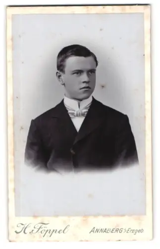 Fotografie H. Föppel, Annaberg, Gr. Kirchgasse 5, Junger Mann im Anzug