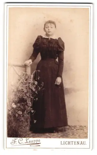 Fotografie F. C. Lauppe, Lichtenau, Dame in elegantem Kleid
