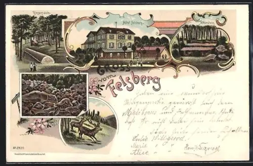 Lithographie Felsberg, Riesensäule, Hotel Felsberg, Altarstein, Felsenmeer und Hirsche am Waldrand