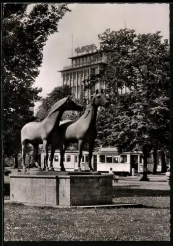 AK Essen, Partie im Stadtgarten mit Pferdestatuen