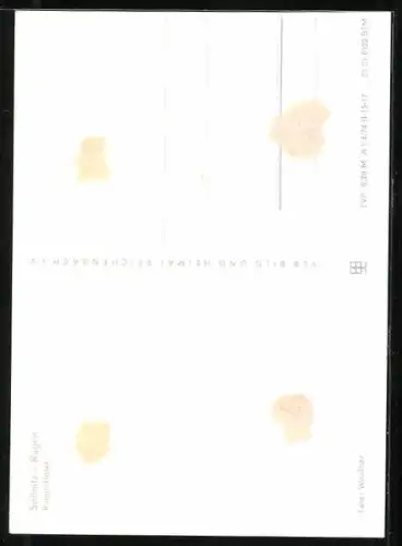 AK Sassnitz /Rügen, Partie am Rügen-Hotel