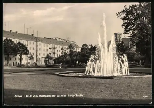 AK Dessau, Partie im Stadtpark Richtung Wilhelm-Pieck-Strasse