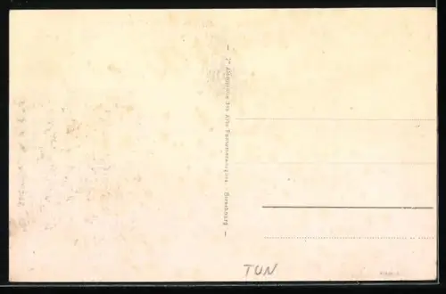 AK Tunis, Vue générale