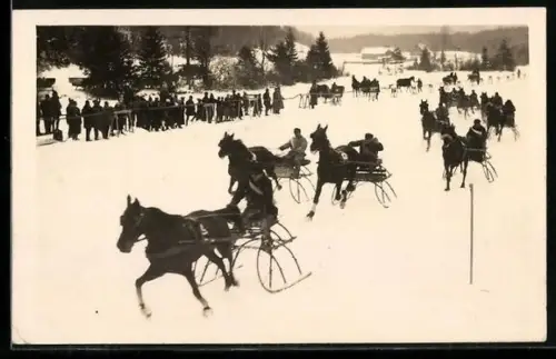 AK Erlaufsee, Trabrennen am Erlaufsee, Wintersport