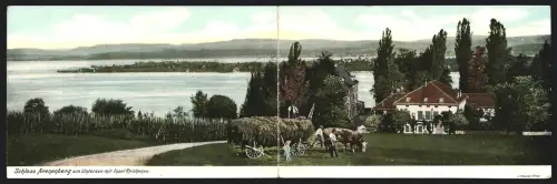 AK Arenenberg am Untersee, Schloss mit Insel Reichenau