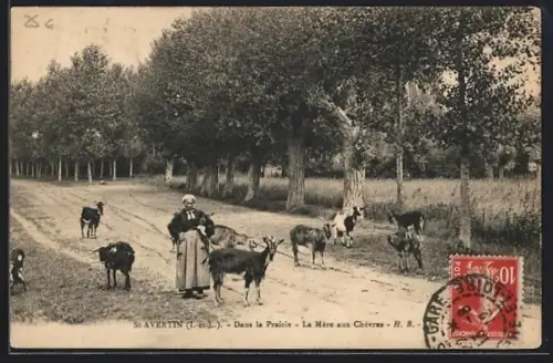 AK St-Avertin /I.et-L., Dans la Prairie, La Mère aux Chèvres