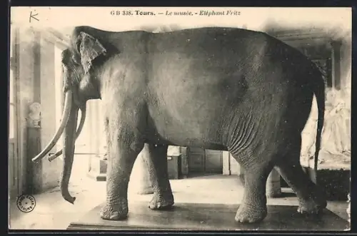 AK Tours, Eléphant Fritz