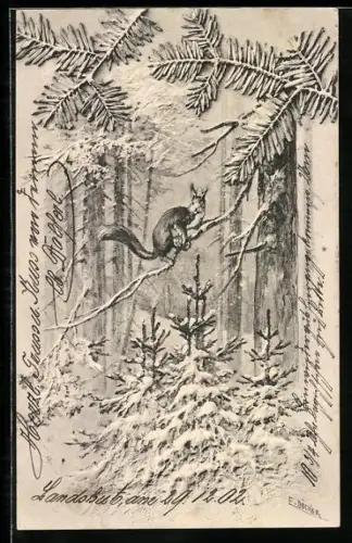 Künstler-AK E. Döcker: Eichhörnchen im Winterwald