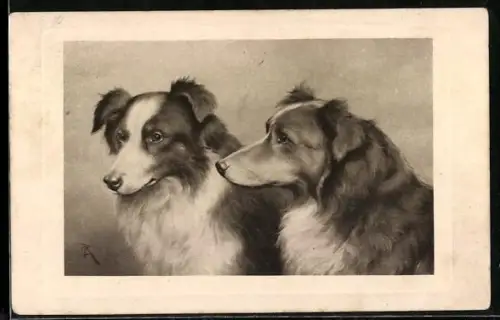 Künstler-AK Carl Reichert: Zwei Hunde, einer davon im Profil